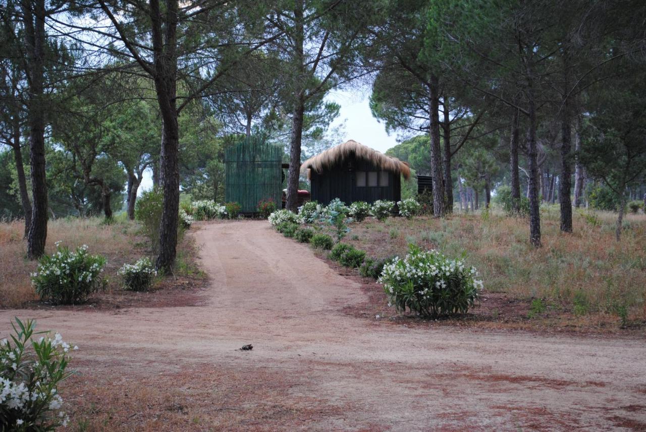 Ying Yang Monte Da Lua Villa Компорта Екстериор снимка