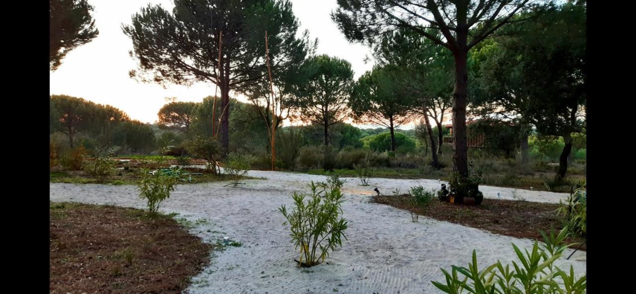Ying Yang Monte Da Lua Villa Компорта Екстериор снимка